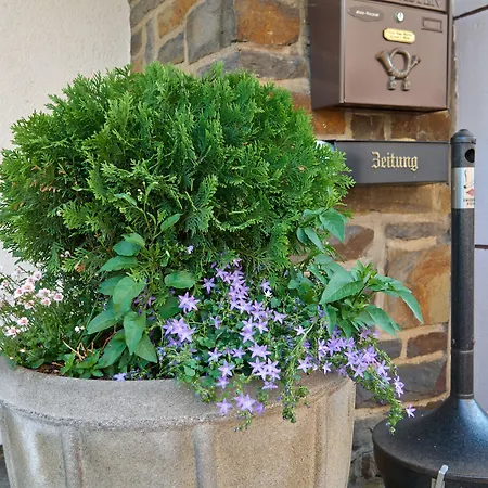 Haus Mooren, Hotel Garni-2